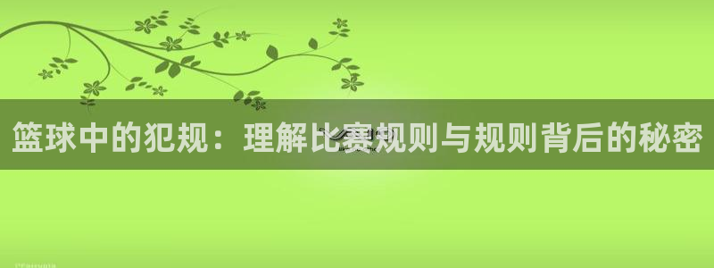  篮球中的犯规：理解比赛规则与规则背后的秘密