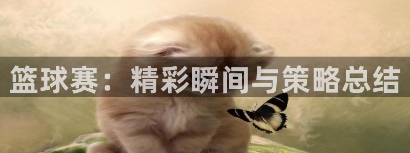  篮球赛：精彩瞬间与策略总结